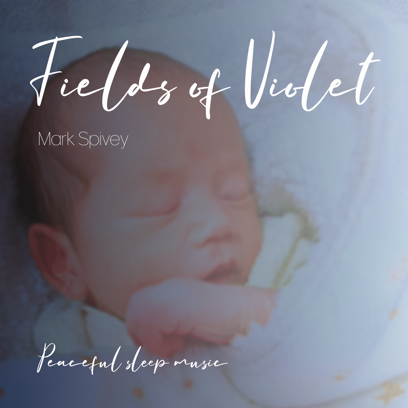 CD%20Cover%20Fields%20of%20Violet